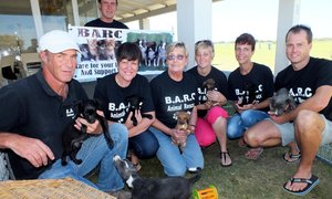 BARC en Microchips